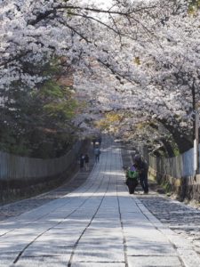 月海だより2024年4月