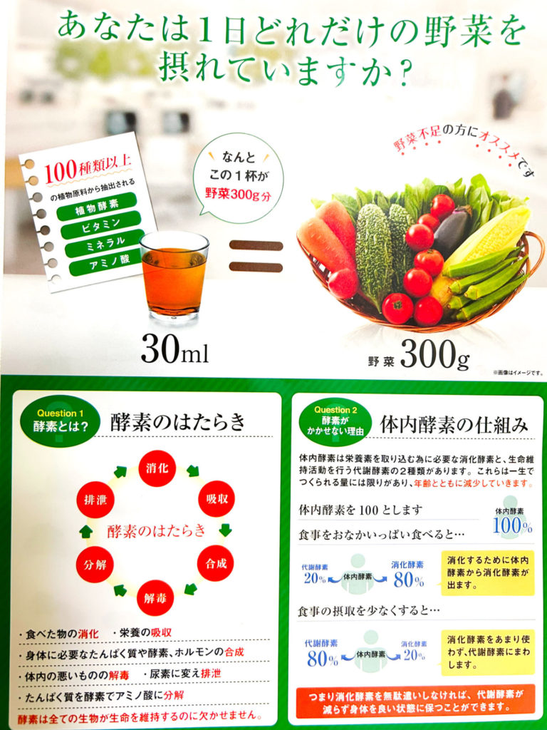 月海だより2024年7月